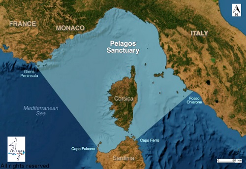 Pelagos Sanctuary